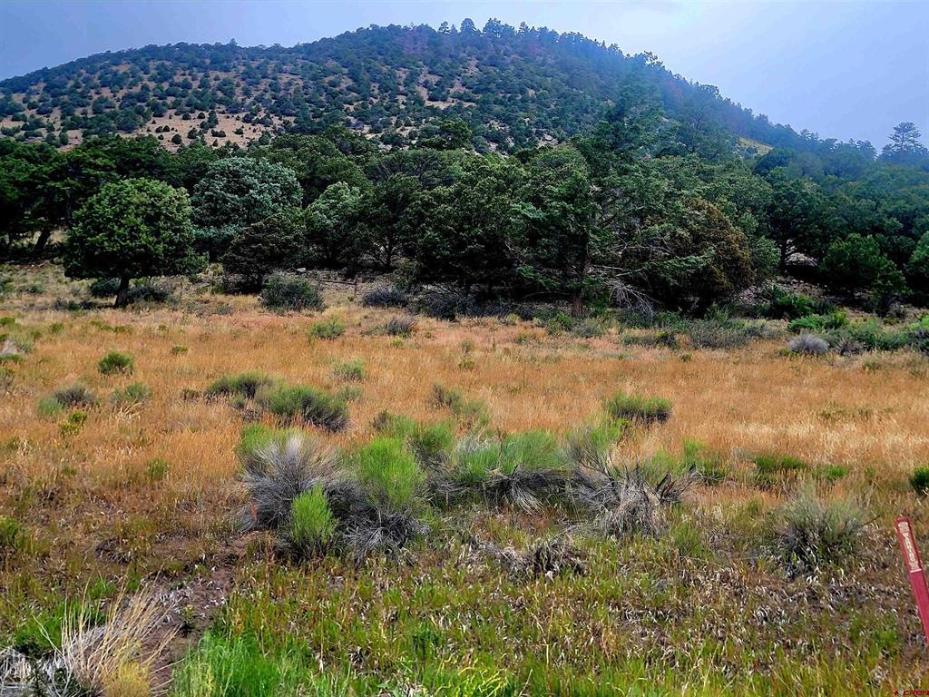 531 Bear Creek Circle Property Photo