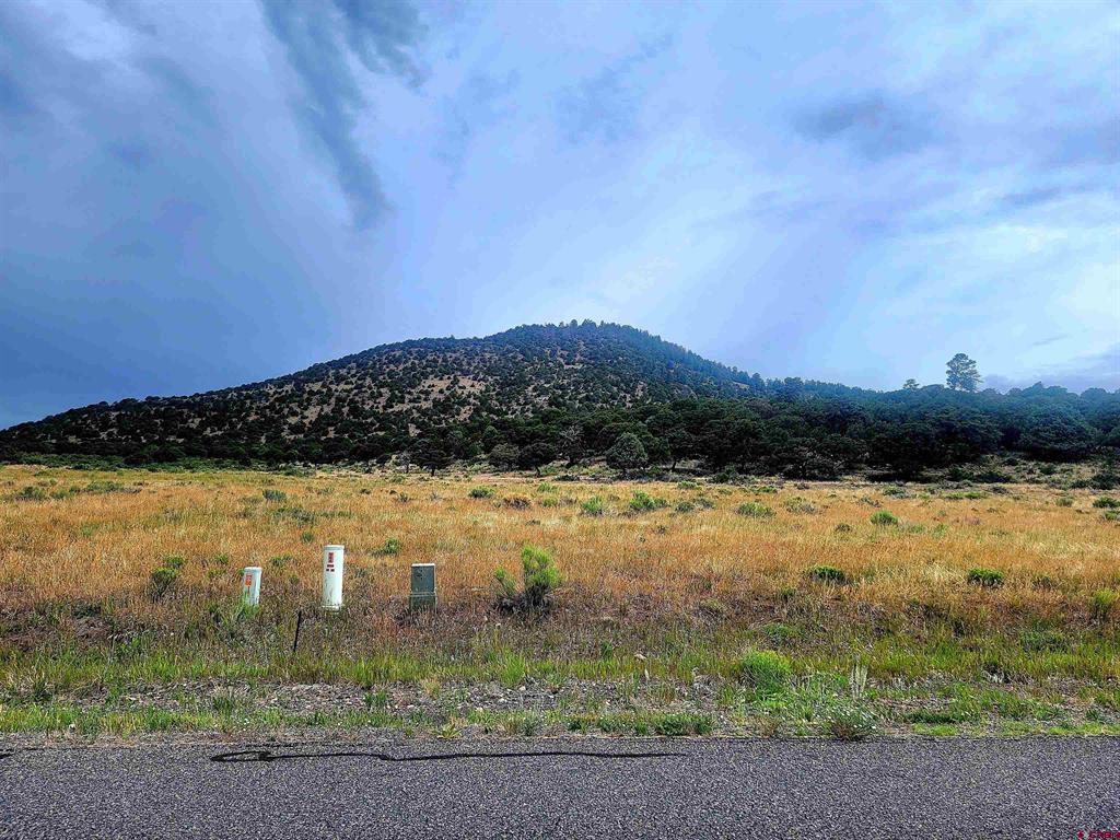 531 Bear Creek Circle Property Photo 3
