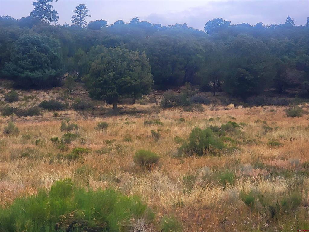 531 Bear Creek Circle Property Photo 7