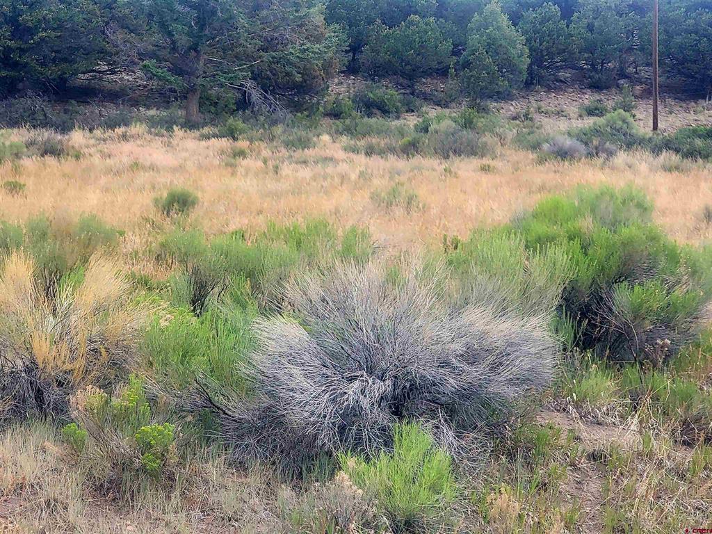 531 Bear Creek Circle Property Photo 8