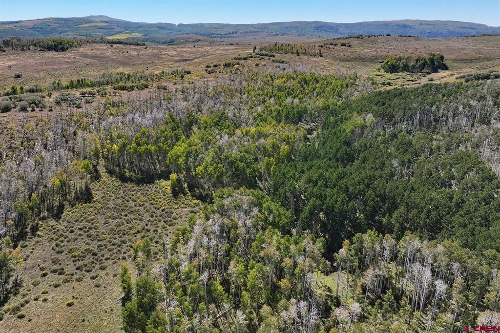 Tbd Divide Road Property Photo 28