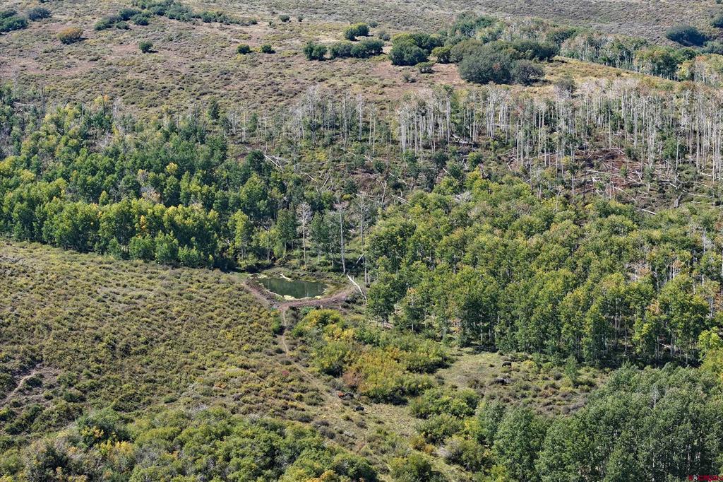 Tbd Divide Road Property Photo 31