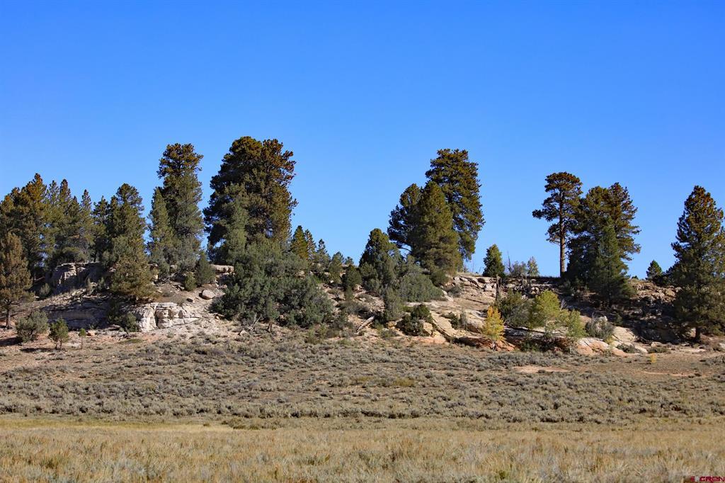 Tbd Divide Road Property Photo 37
