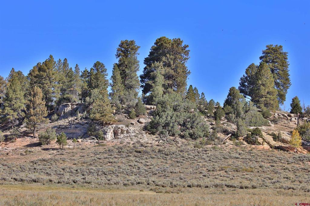 Tbd Divide Road Property Photo 40