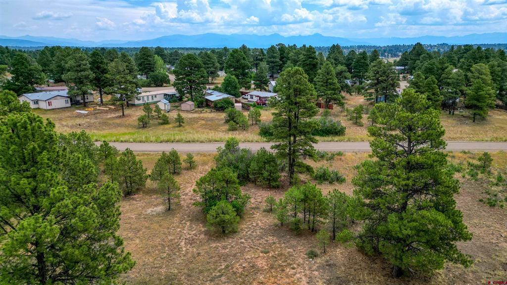 478 & 445 Bonanza Avenue Property Photo 11