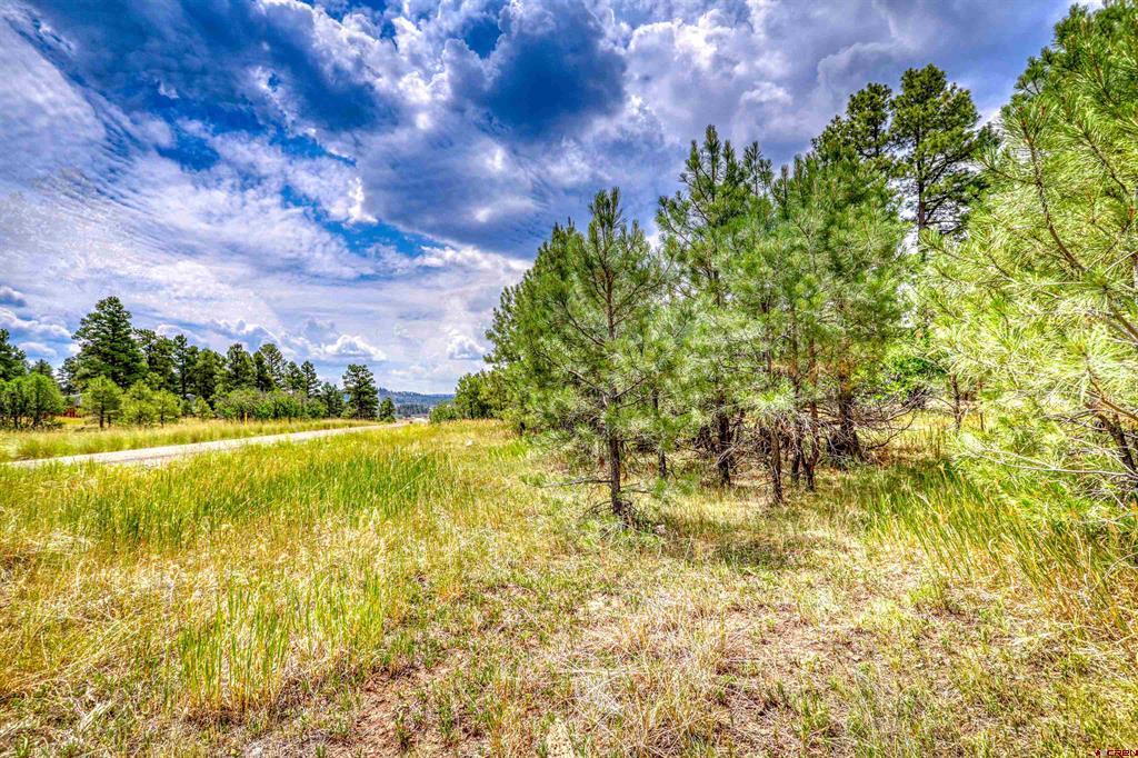 478 & 445 Bonanza Avenue Property Photo 13