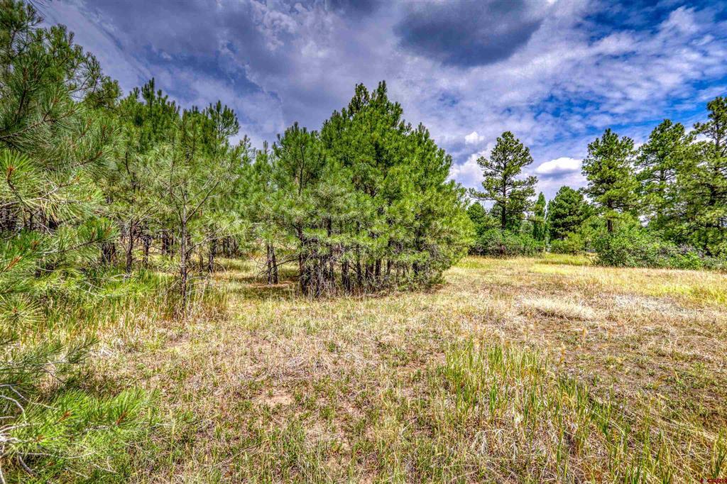 478 & 445 Bonanza Avenue Property Photo 19