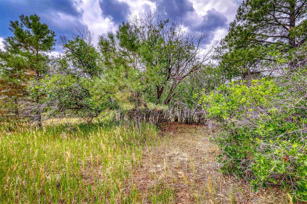 478 & 445 Bonanza Avenue Property Photo 24