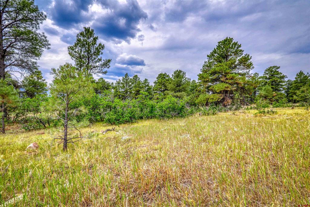 478 & 445 Bonanza Avenue Property Photo 34