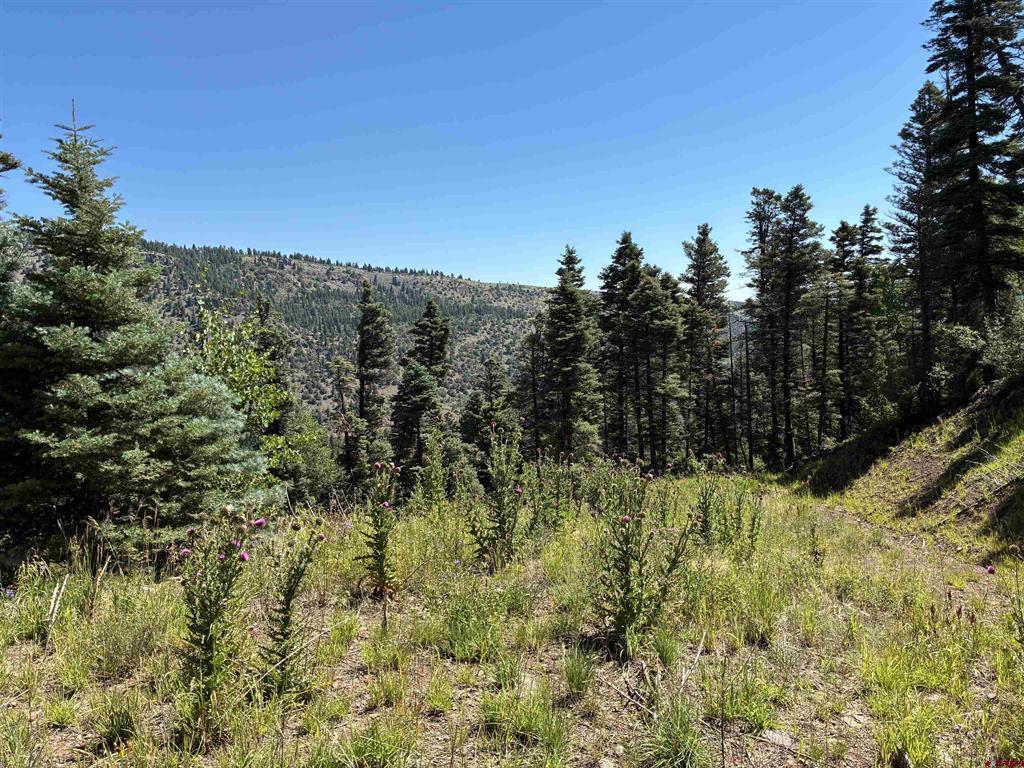 1435 Clarke Mountain Lane Property Photo 1