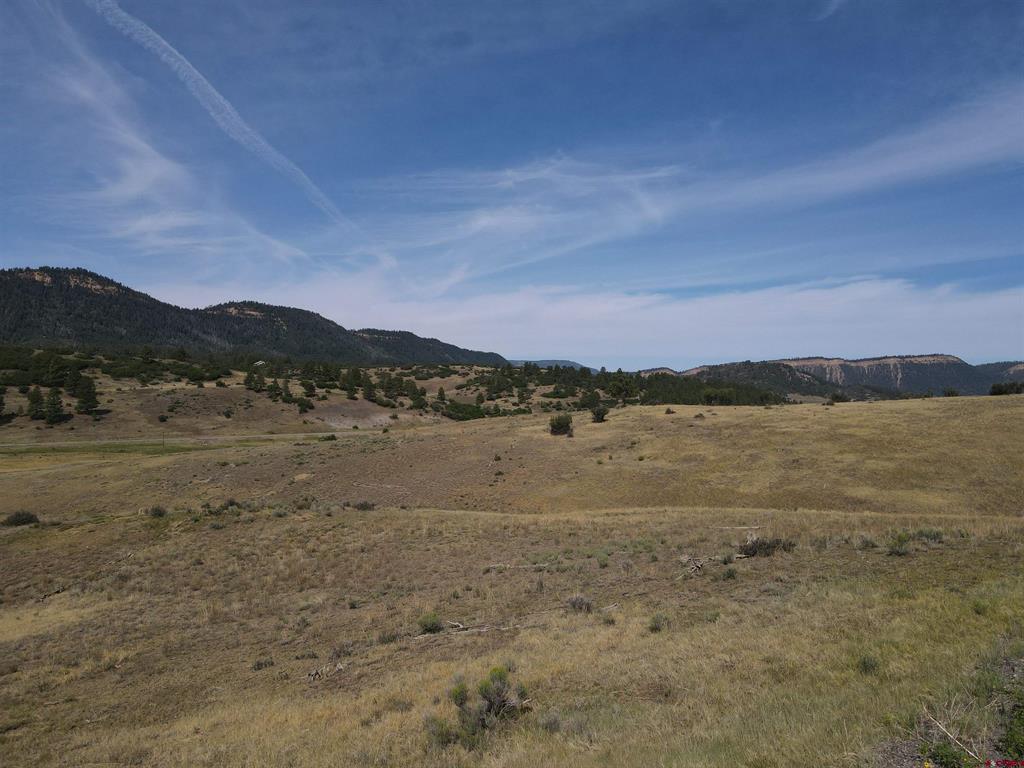 141 Spring Creek Circle Property Photo 3