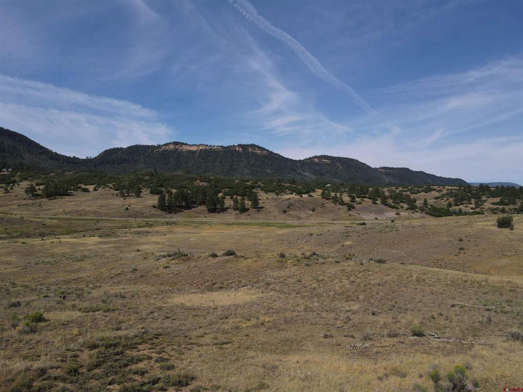 141 Spring Creek Circle Property Photo 4