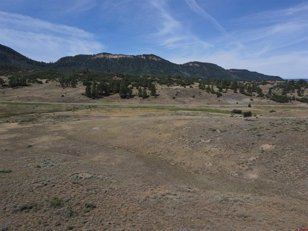 141 Spring Creek Circle Property Photo 5
