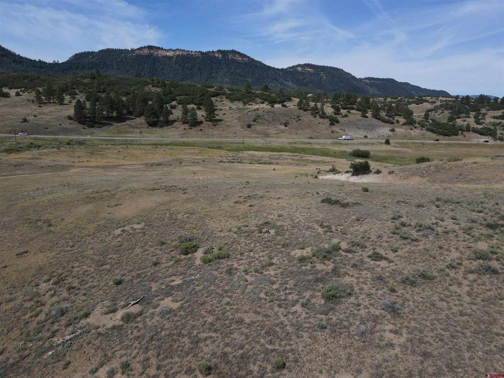 141 Spring Creek Circle Property Photo 17