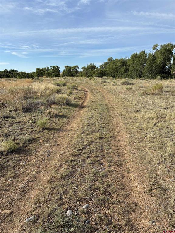 111 Prairie Wind Lane Property Photo 1