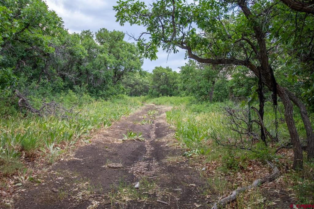 26779 Fs Rd 514e Property Photo 26