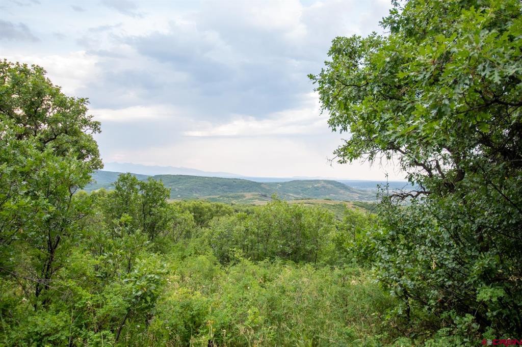 26779 Fs Rd 514e Property Photo 27