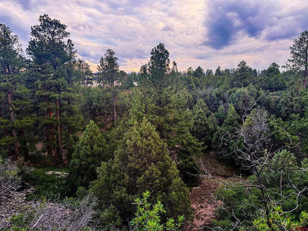 190 Hummingbird Trail Property Photo 1