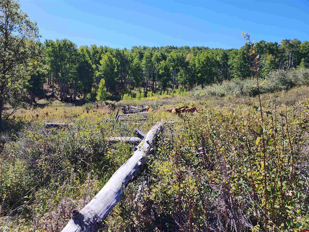 2586 26 1/10 Road Property Photo 21