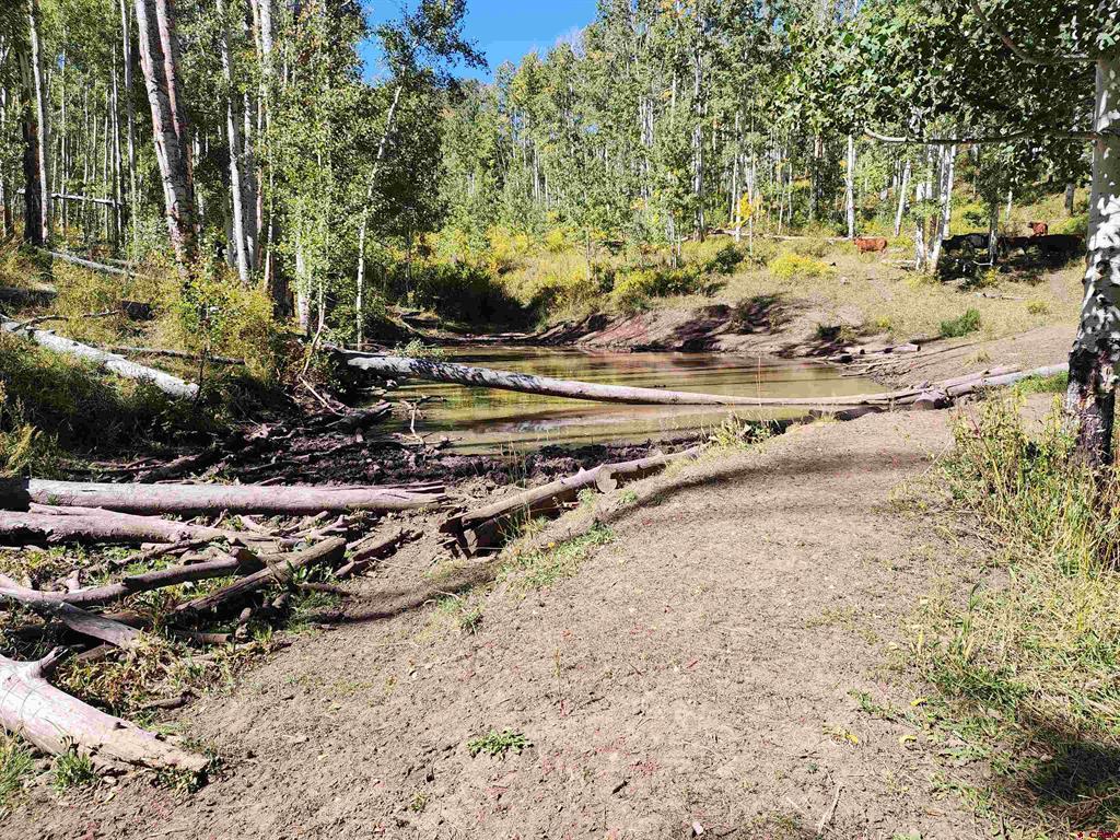 2586 26 1/10 Road Property Photo 38