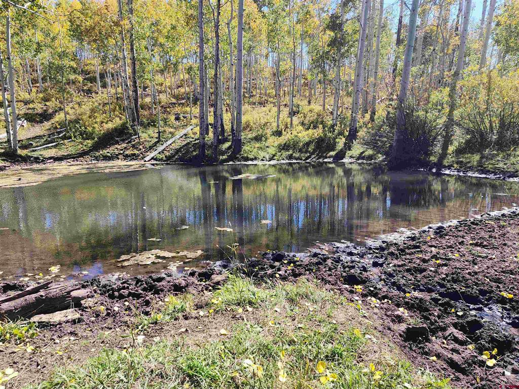 2586 26 1/10 Road Property Photo 41
