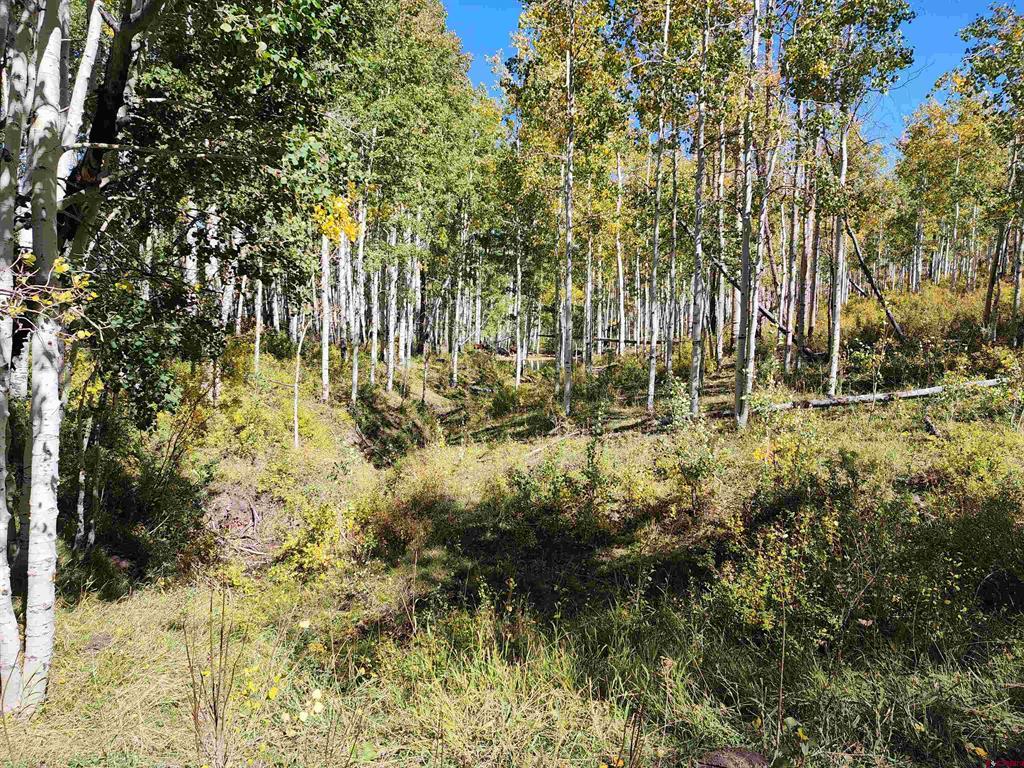 2586 26 1/10 Road Property Photo 44