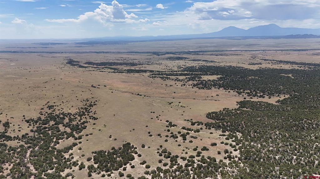 Tbd County Road 616 Property Photo 2
