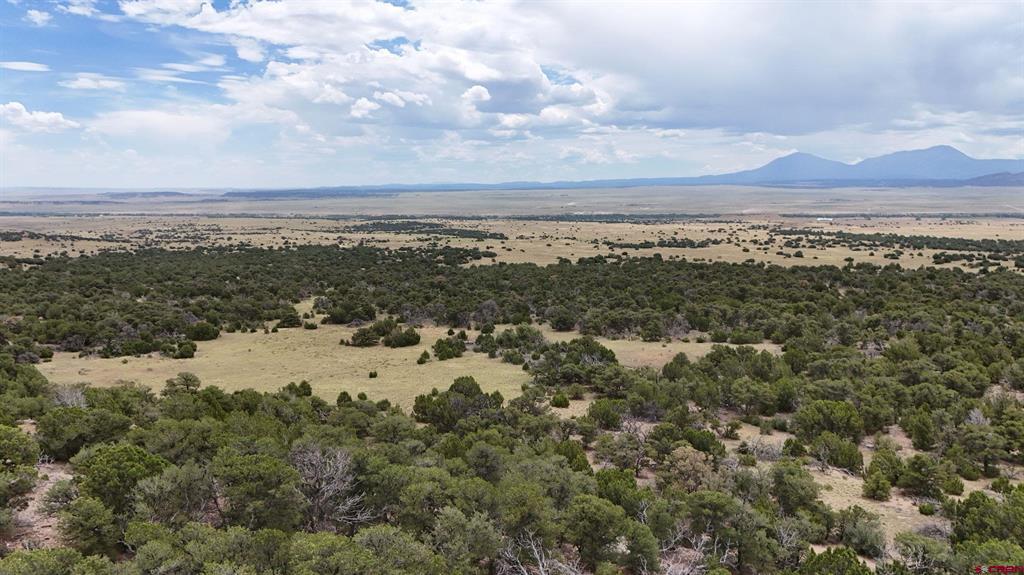 Tbd County Road 616 Property Photo 3