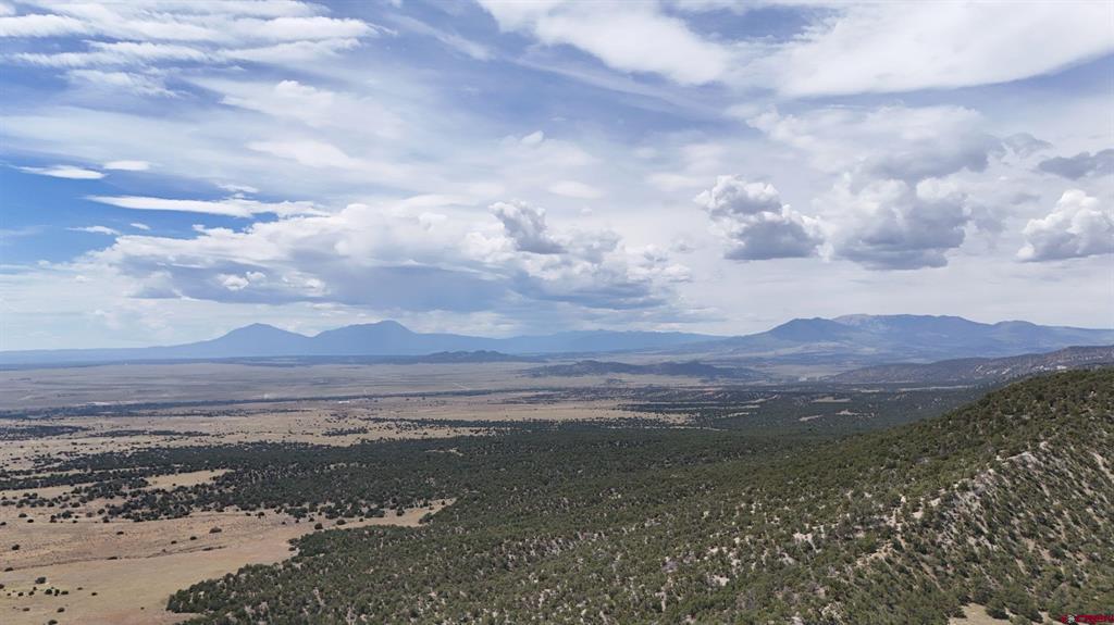 Tbd County Road 616 Property Photo 4