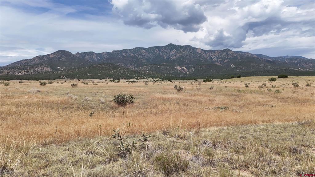 Tbd County Road 616 Property Photo 5