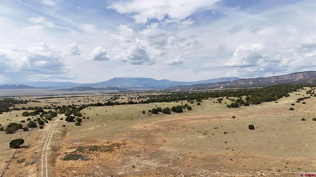 Tbd County Road 616 Property Photo 8
