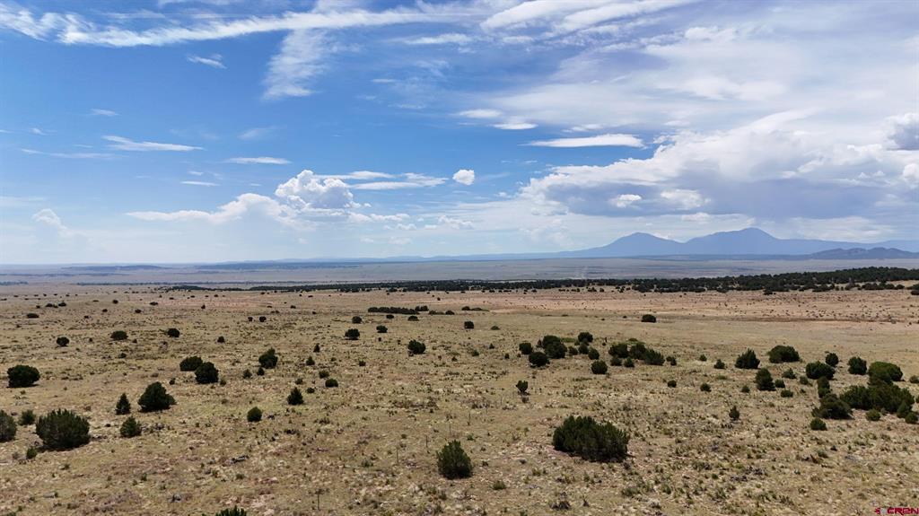 Tbd County Road 616 Property Photo 14