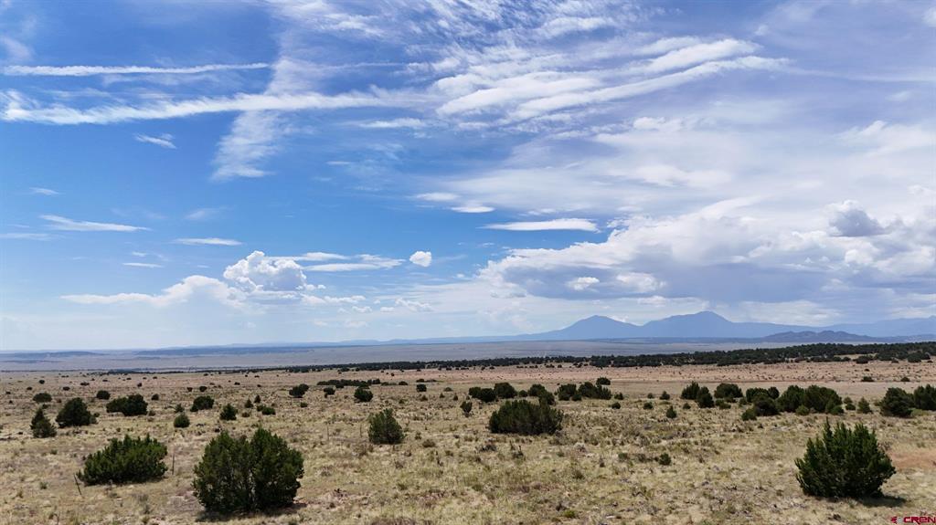 Tbd County Road 616 Property Photo 15