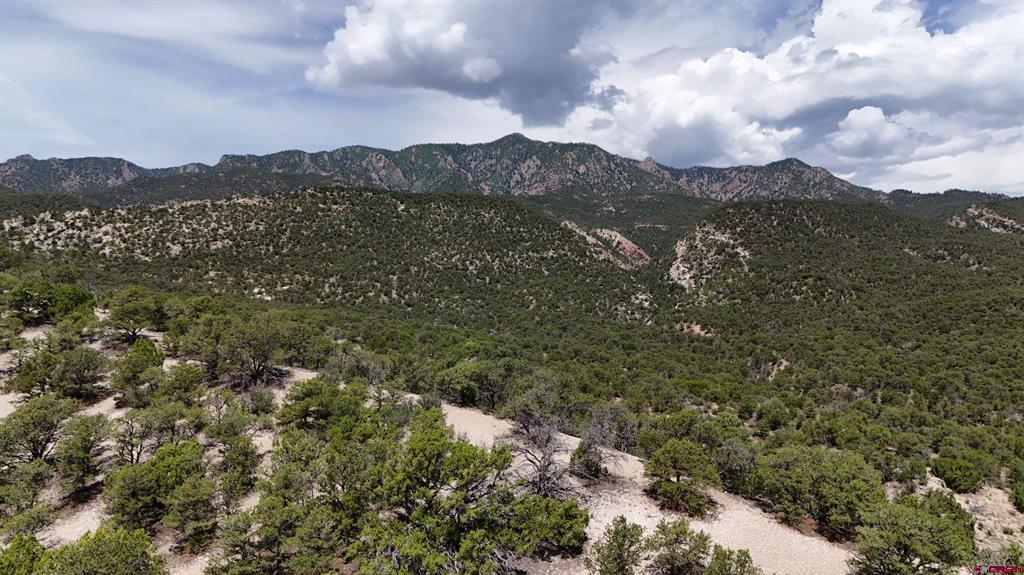 Tbd County Road 616 Property Photo 16
