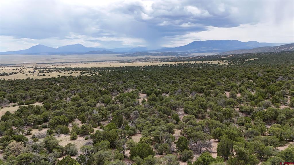 Tbd County Road 616 Property Photo 17