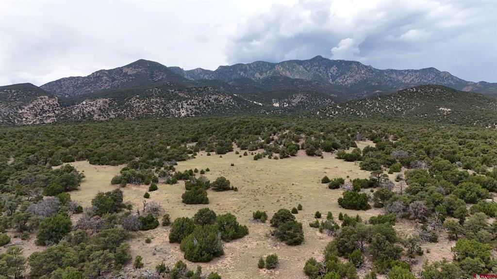 Tbd County Road 616 Property Photo 20