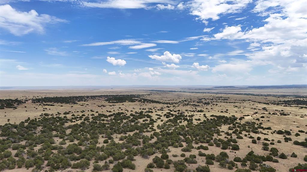 Tbd County Road 616 Property Photo 22