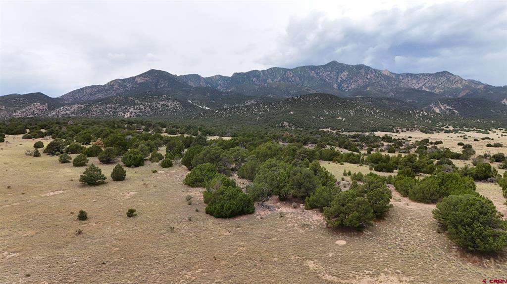 Tbd County Road 616 Property Photo 23