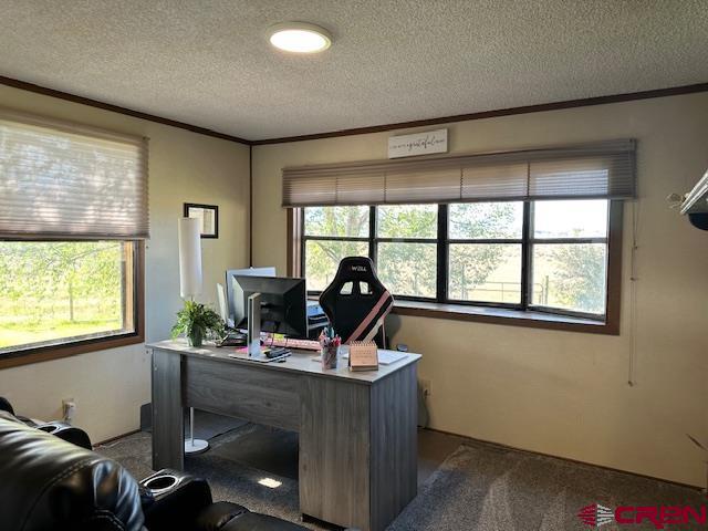 6066 Road 21 Property Photo 12