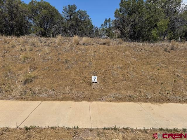 39 Salt Brush Street Property Photo 1