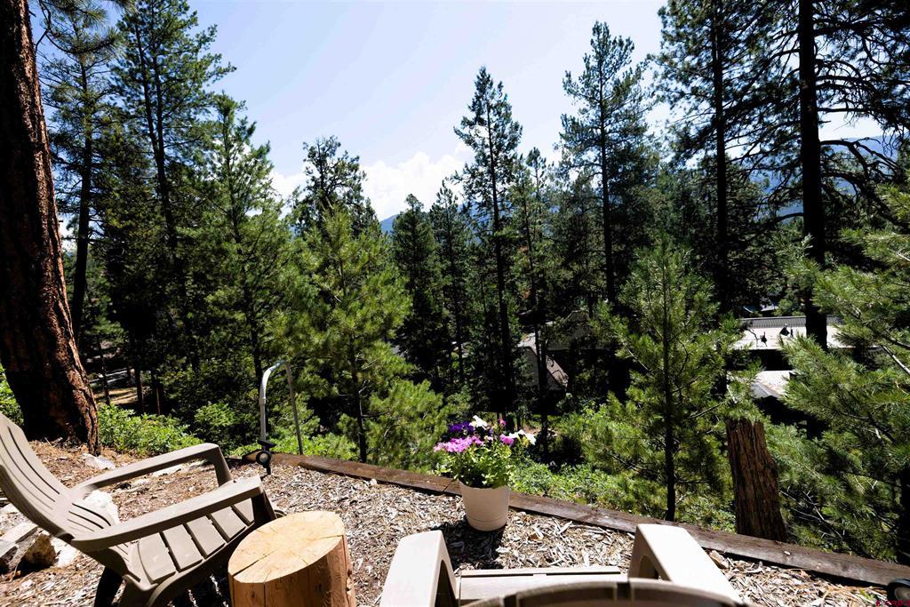 34 Crocus Court Property Photo 42