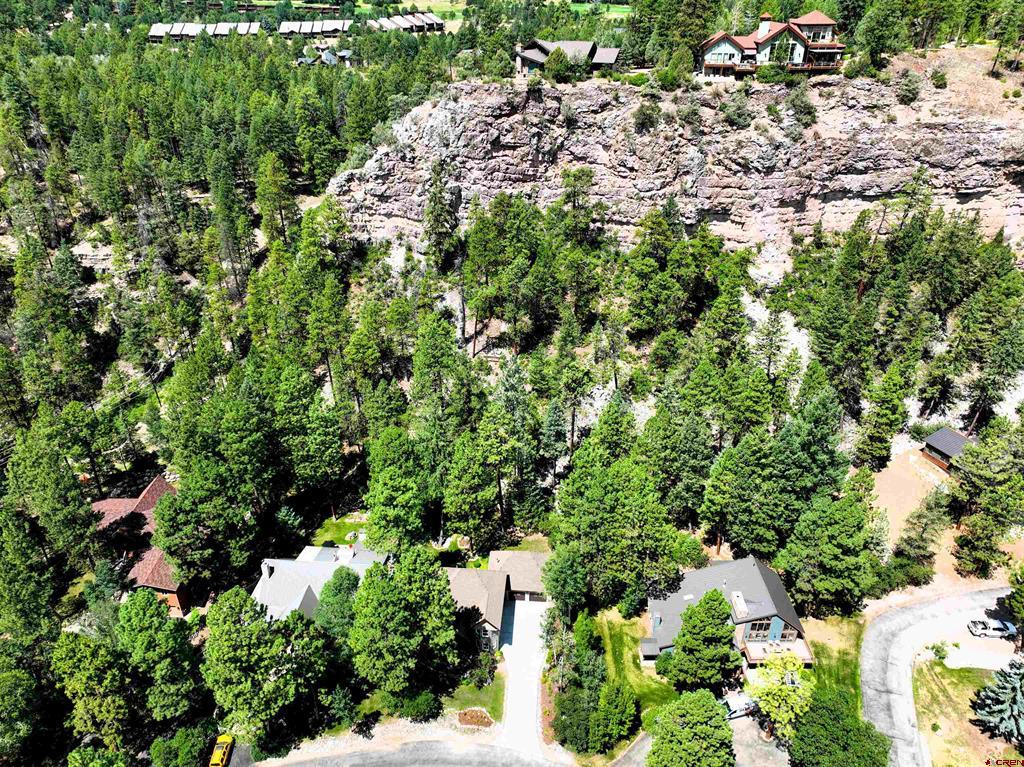 34 Crocus Court Property Photo 43