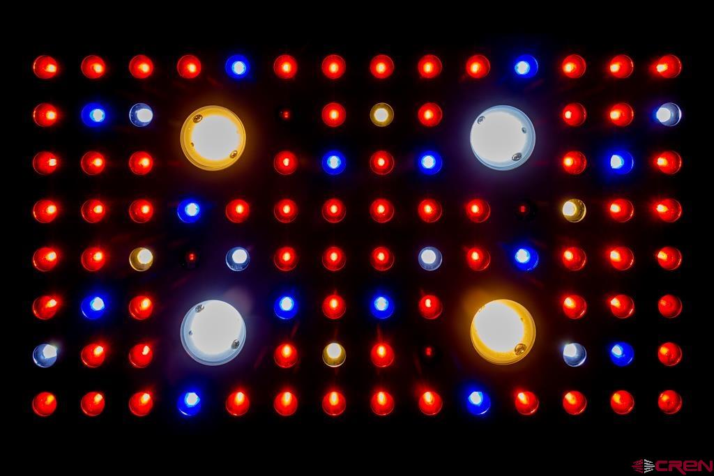 10662 Highway 172 Property Photo 19