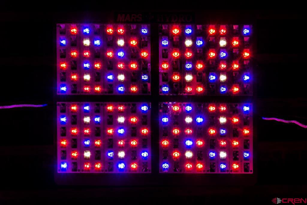 10662 Highway 172 Property Photo 20