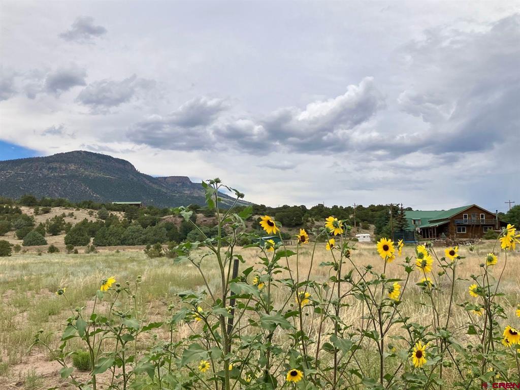 100 Mica Road Property Photo 16