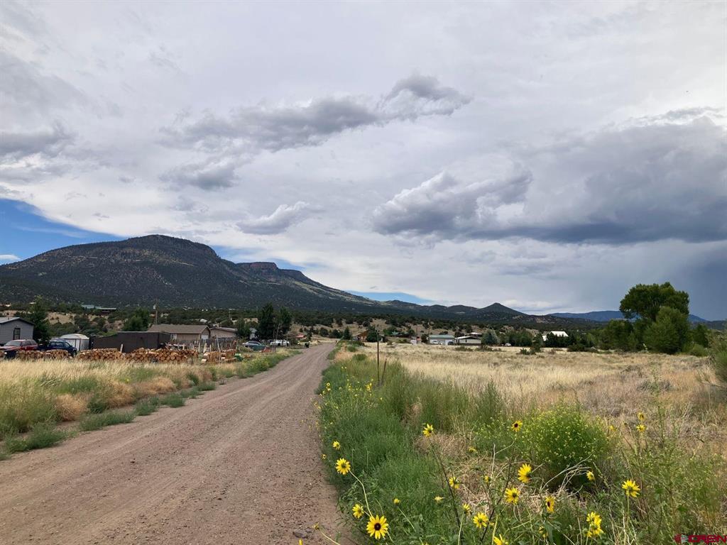 100 Mica Road Property Photo 19