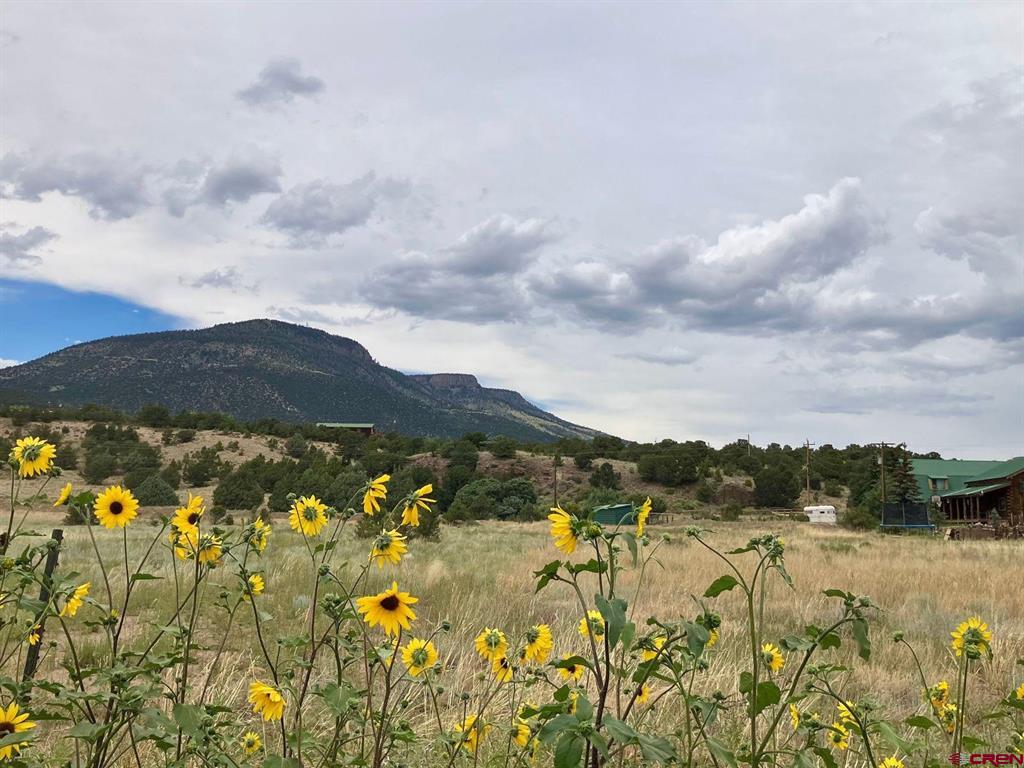 100 Mica Road Property Photo 22