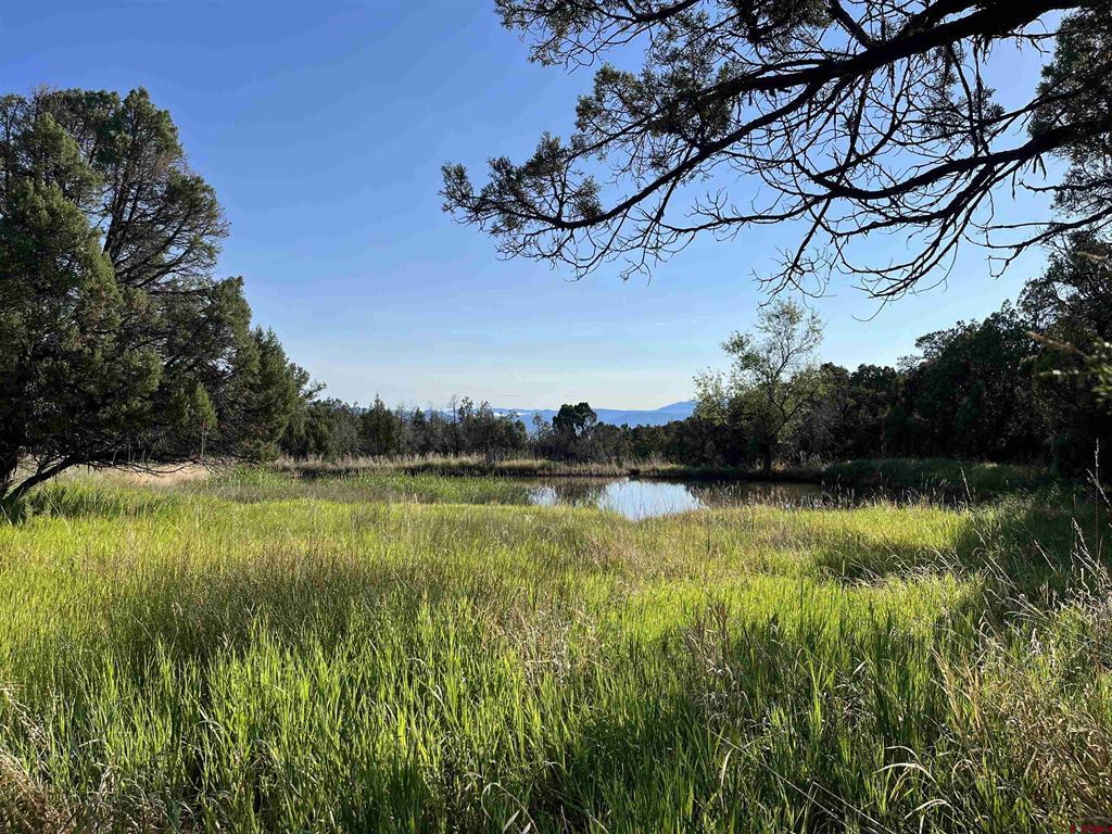 31807 B50 Road Property Photo 41
