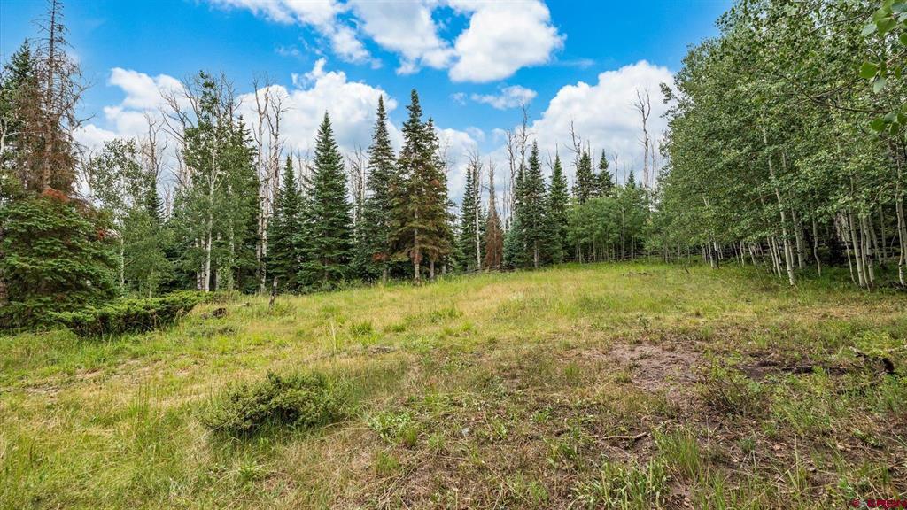 58203 Elk Drive Property Photo 30