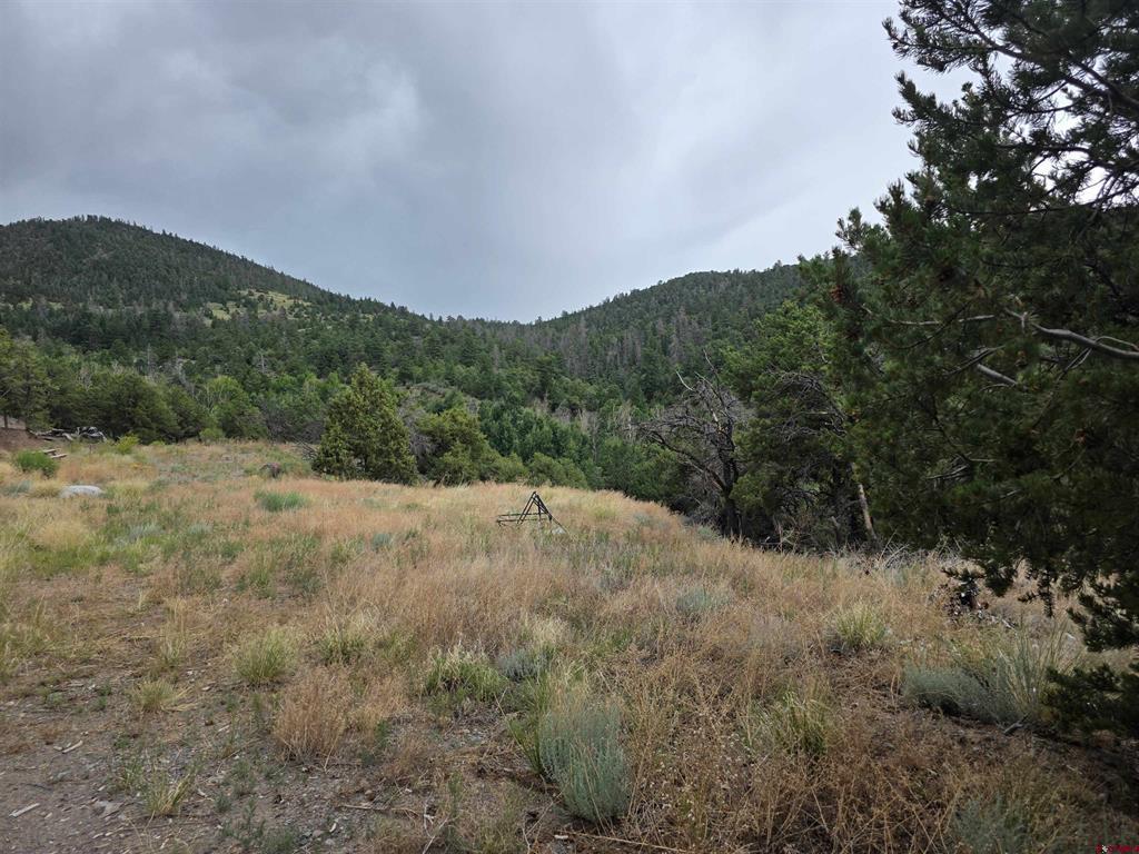 Tbd Joy Rd Property Photo 1